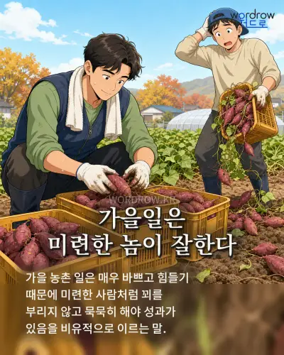 한국어 속담 “가을일은 미련한 놈이 잘한다” 1컷 일러스트