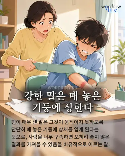 한국어 속담 “강한 말은 매 놓은 기둥에 상한다” 1컷 일러스트