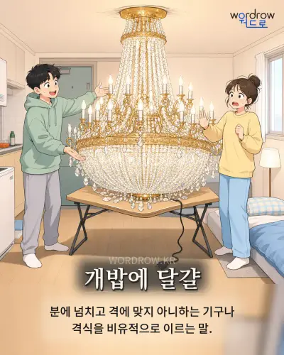 한국어 속담 “개밥에 달걀” 1컷 일러스트