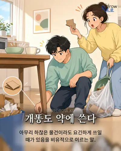 한국어 속담 “개똥도 약에 쓴다” 1컷 일러스트