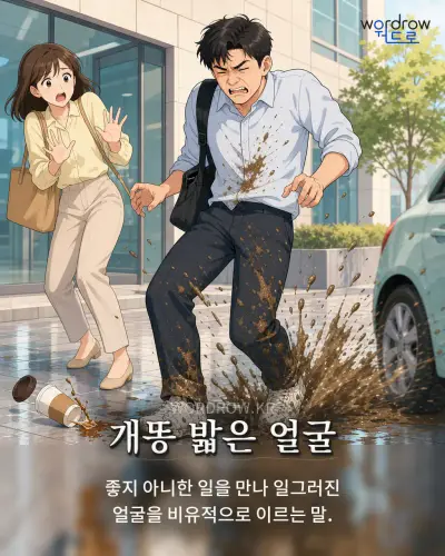 한국어 속담 “개똥 밟은 얼굴” 1컷 일러스트