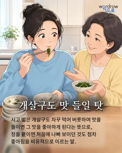 한국어 속담 “개살구도 맛 들일 탓” 1컷 일러스트