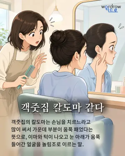 한국어 속담 “객줏집 칼도마 같다” 1컷 일러스트