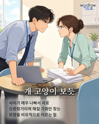 한국어 속담 “개 고양이 보듯” 1컷 일러스트