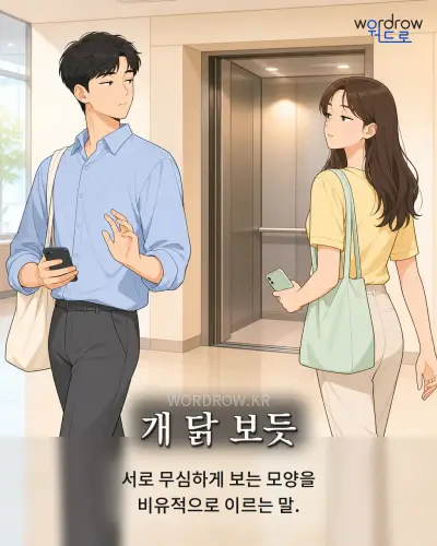 한국어 속담 “개 닭 보듯” 1컷 일러스트
