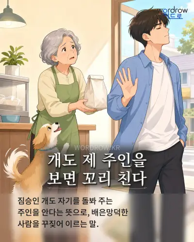 한국어 속담 “개도 제 주인을 보면 꼬리 친다” 1컷 일러스트