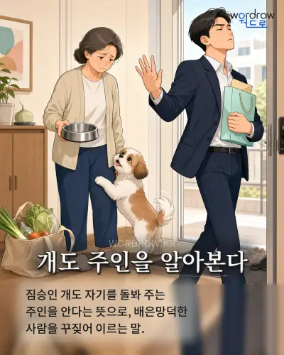 한국어 속담 “개도 주인을 알아본다” 1컷 일러스트