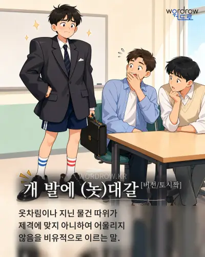 한국어 속담 “개 발에대갈” 1컷 일러스트