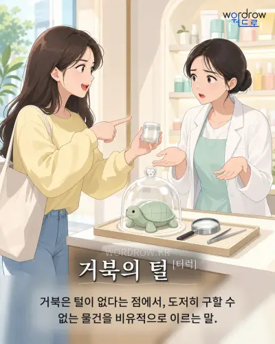 한국어 속담 “거북의 털[터럭]” 1컷 일러스트