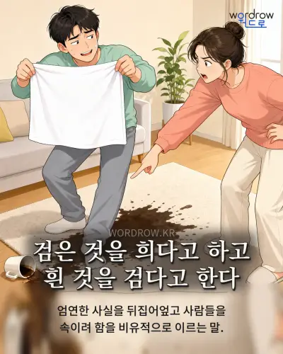 한국어 속담 “검은 것을 희다고 하고 흰 것을 검다고 한다” 1컷 일러스트