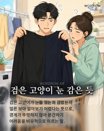 한국어 속담 “검은 고양이 눈 감은 듯” 1컷 일러스트