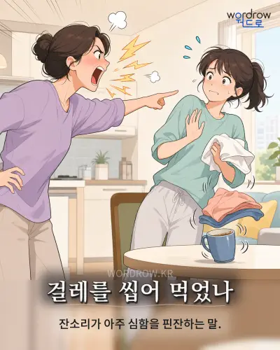 한국어 속담 “걸레를 씹어 먹었나” 1컷 일러스트