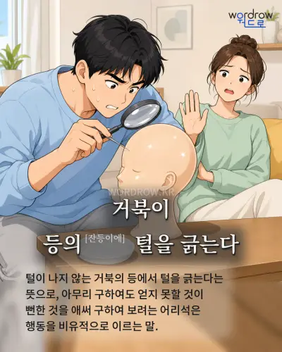 한국어 속담 “거북이 등의[잔등이에] 털을 긁는다” 1컷 일러스트