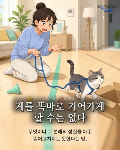 한국어 속담 “게를 똑바로 기어가게 할 수는 없다” 1컷 일러스트
