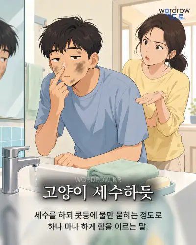 한국어 속담 “고양이 세수하듯” 1컷 일러스트