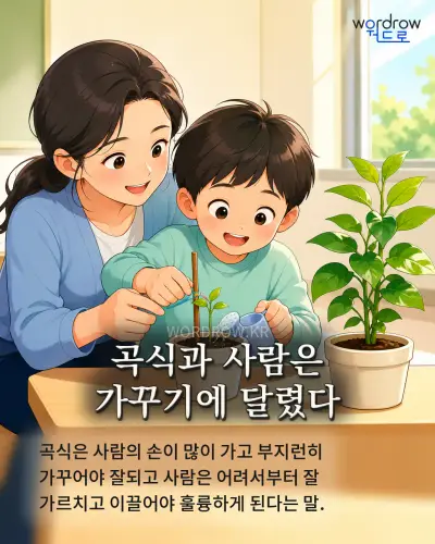 한국어 속담 “곡식과 사람은 가꾸기에 달렸다” 1컷 일러스트
