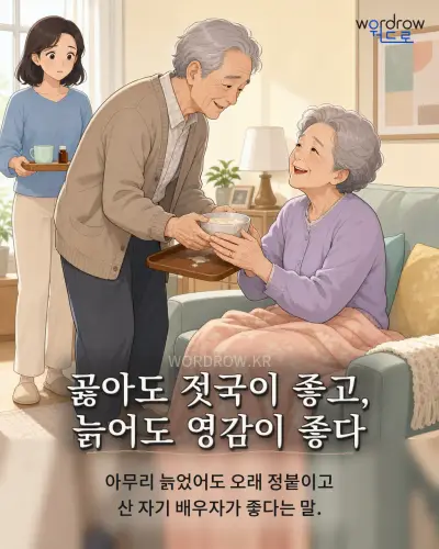 한국어 속담 “곯아도 젓국이 좋고, 늙어도 영감이 좋다” 1컷 일러스트