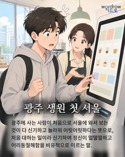 한국어 속담 “광주 생원 첫 서울” 1컷 일러스트