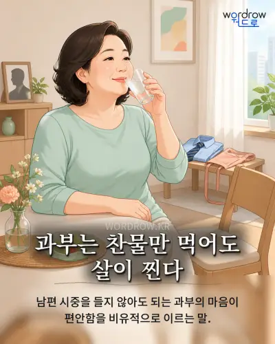 한국어 속담 “과부는 찬물만 먹어도 살이 찐다” 1컷 일러스트