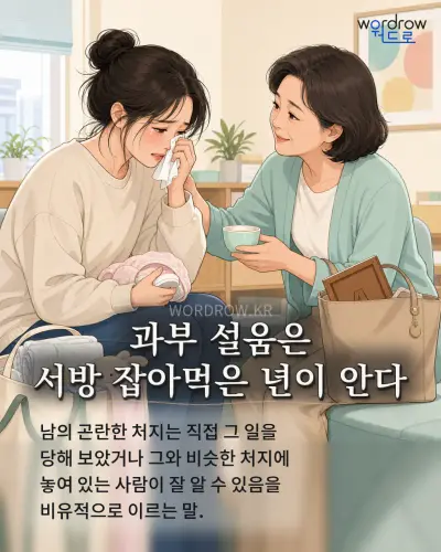 한국어 속담 “과부 설움은 서방 잡아먹은 년이 안다” 1컷 일러스트