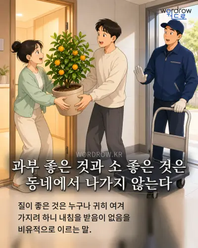한국어 속담 “과부 좋은 것과 소 좋은 것은 동네에서 나가지 않는다”를 한 장면으로 담은 1컷 일러스트