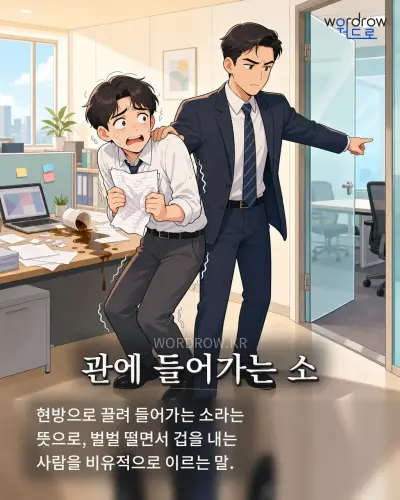 한국어 속담 “관에 들어가는 소” 1컷 일러스트