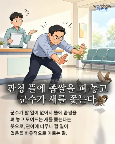 한국어 속담 “관청 뜰에 좁쌀을 펴 놓고 군수가 새를 쫓는다” 1컷 일러스트