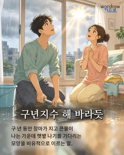 한국어 속담 “구년지수 해 바라듯” 1컷 일러스트