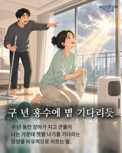 한국어 속담 “구 년 홍수에 볕 기다리듯” 1컷 일러스트