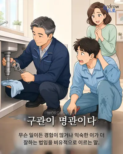 한국어 속담 “구관이 명관이다” 1컷 일러스트