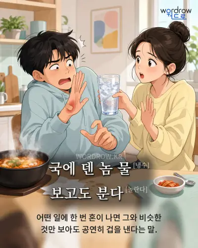 한국어 속담 “국에 덴 놈 물[냉수] 보고도 분다[놀란다]” 1컷 일러스트