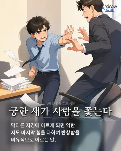 한국어 속담 “궁한 새가 사람을 쫓는다” 1컷 일러스트
