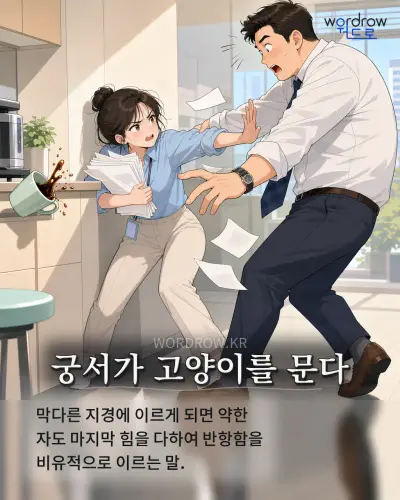 한국어 속담 “궁서가 고양이를 문다” 1컷 일러스트