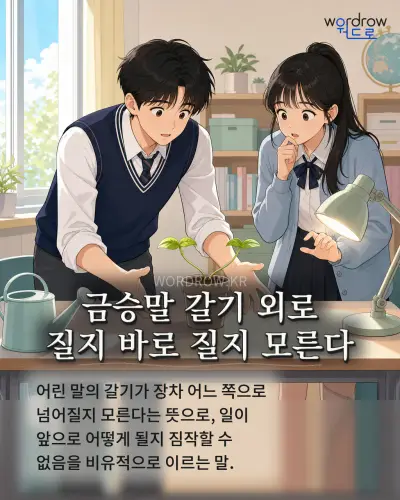 한국어 속담 “금승말 갈기 외로 질지 바로 질지 모른다” 1컷 일러스트