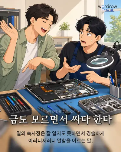 한국어 속담 “금도 모르면서 싸다 한다” 1컷 일러스트