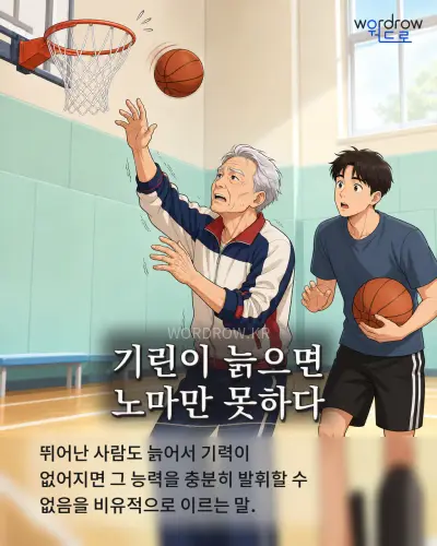 한국어 속담 “기린이 늙으면 노마만 못하다” 1컷 일러스트