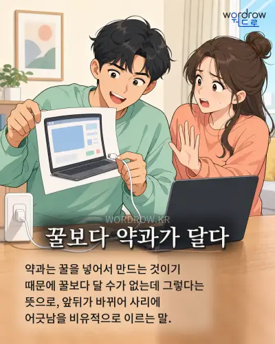 한국어 속담 “꿀보다 약과가 달다” 1컷 일러스트