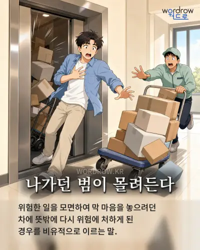 한국어 속담 “나가던 범이 몰려든다” 1컷 일러스트