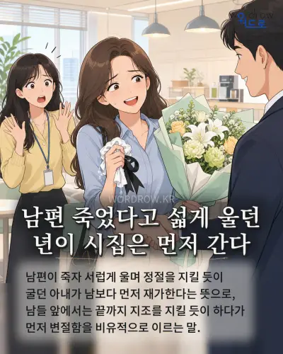 한국어 속담 “남편 죽었다고 섧게 울던 년이 시집은 먼저 간다” 1컷 일러스트