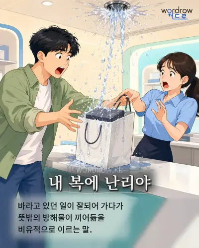 한국어 속담 “내 복에 난리야” 1컷 일러스트