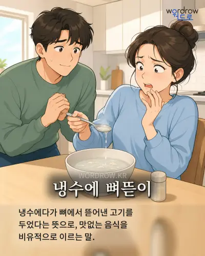 한국어 속담 “냉수에 뼈뜯이” 1컷 일러스트