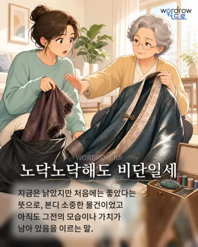 한국어 속담 “노닥노닥해도 비단일세” 1컷 일러스트