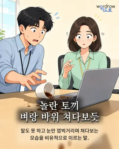 한국어 속담 “놀란 토끼 벼랑 바위 쳐다보듯” 1컷 일러스트