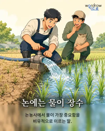 한국어 속담 “논에는 물이 장수” 1컷 일러스트