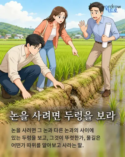 한국어 속담 “논을 사려면 두렁을 보라” 1컷 일러스트