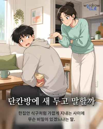 한국어 속담 “단칸방에 새 두고 말할까” 1컷 일러스트