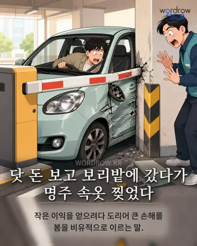한국어 속담 “닷 돈 보고 보리밭에 갔다가 명주 속옷 찢었다” 1컷 일러스트
