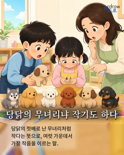 한국어 속담 “당닭의 무녀리냐 작기도 하다” 1컷 일러스트