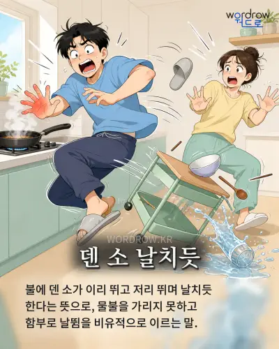 한국어 속담 “덴 소 날치듯” 1컷 일러스트