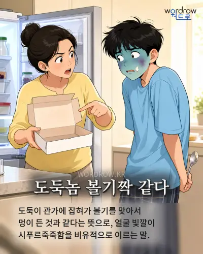 한국어 속담 “도둑놈 볼기짝 같다” 1컷 일러스트